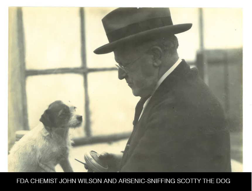 Chemist John Wilson and Scotty the dog - from Frank R Vintage image of Chemist John Wilson and Scotty the dog - from Frank R